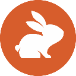 CodeRabbit